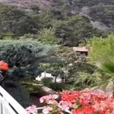 Hotel Miramor & 5*